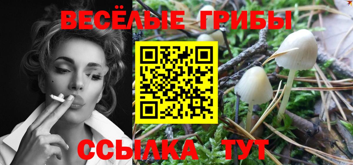 Галлюциногенные грибы MAGIC MUSHROOMS Назарово