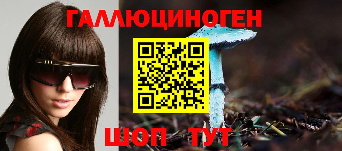 Псилоцибиновые грибы GOLDEN TEACHER  Галлюциногенные грибы Cubensis  Назарово  Вход с VPN 